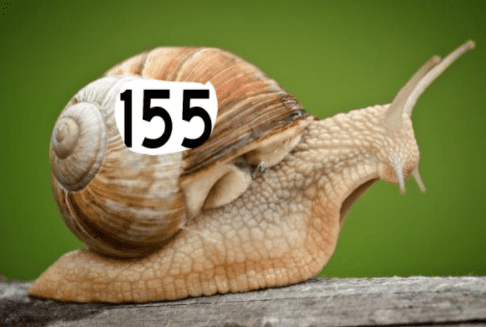 caracol 155.png