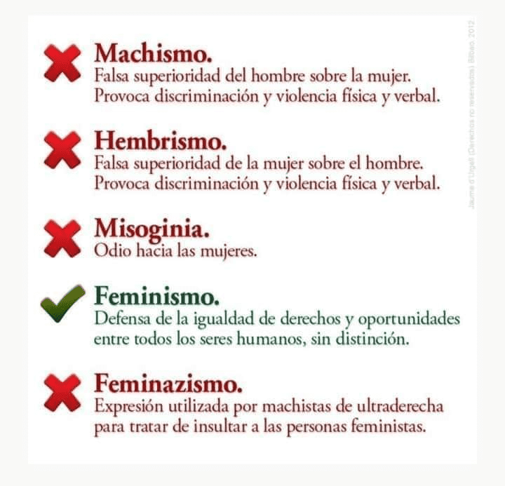 feminismo.png